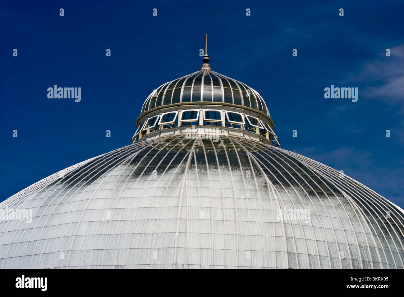 Buffalo and Erie County Botanical Gardens di Lackawanna New York Foto Stock