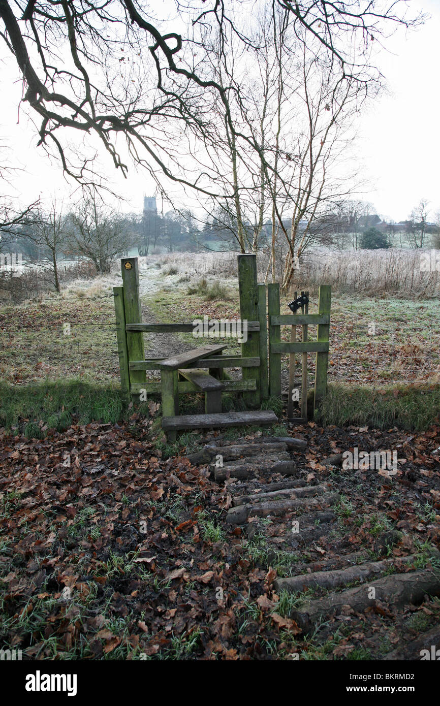 Wybunbury Moss Cheshire cane stile Foto Stock