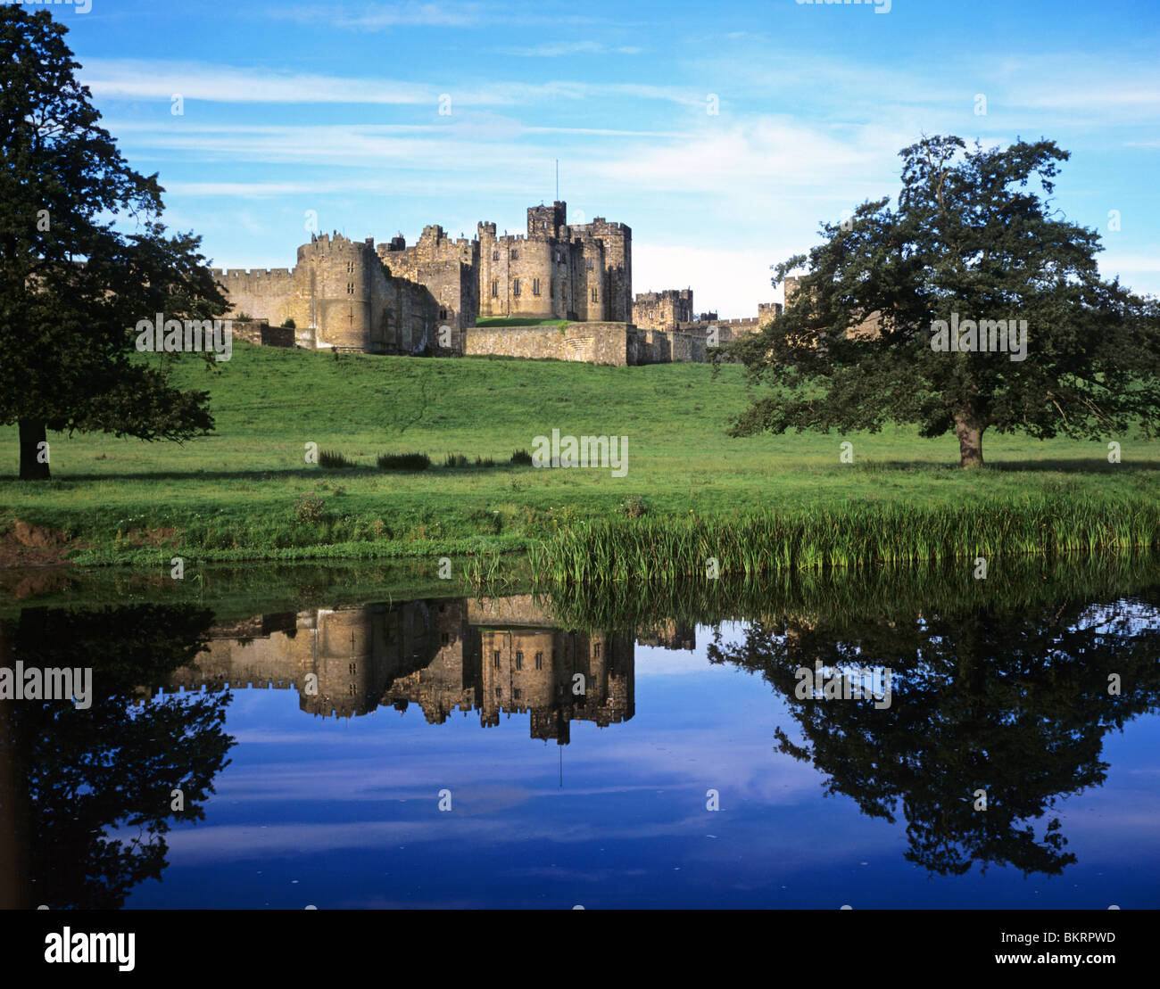 Vista di Alnwick Castle attraverso il Fiume Aln Foto Stock