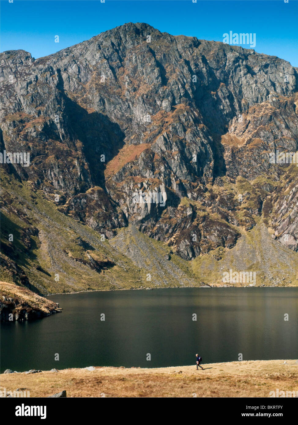 Una femmina di escursionista di fronte lago Cau limitata dai crescenti di roccia dietro sul Cader Idris gamma Snowdonia Foto Stock
