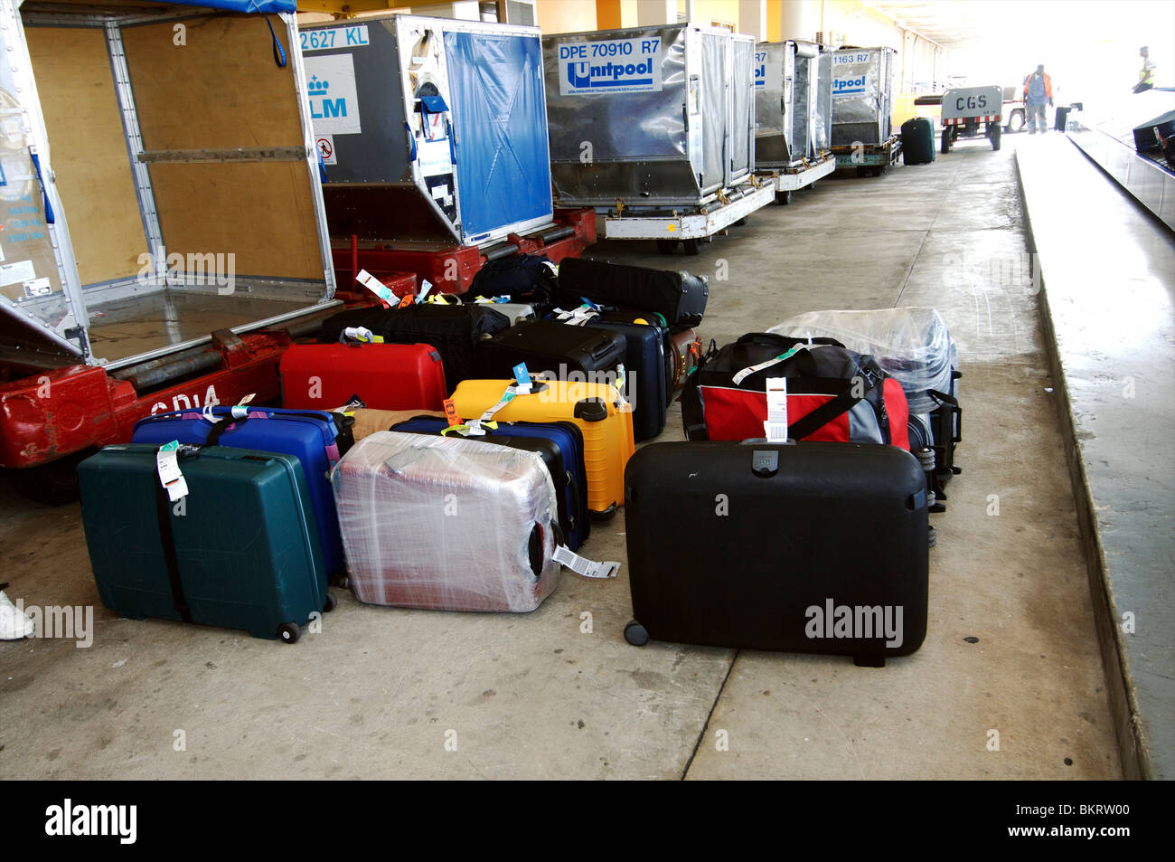 Curacao Hato aeroporto, bagagli in attesa di cani antidroga Foto Stock