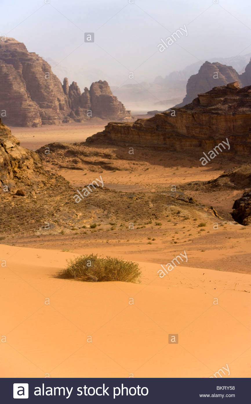 Wadi Rum,Giordania,Medio Oriente,Asia Foto Stock