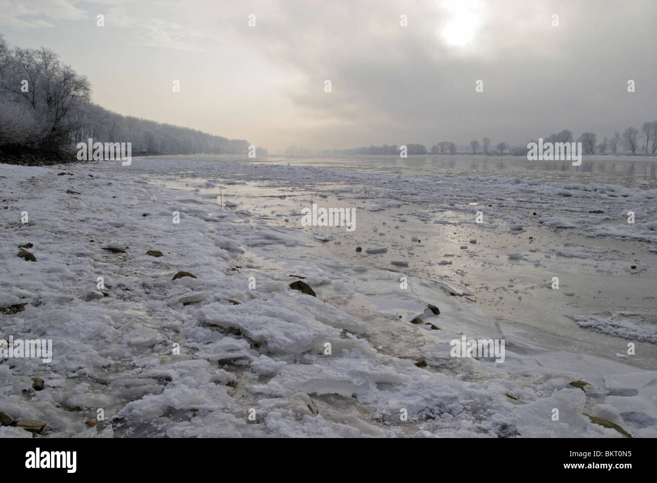 Inverno, ghiaccio, congelati, il Danubio, Fiume Foto Stock