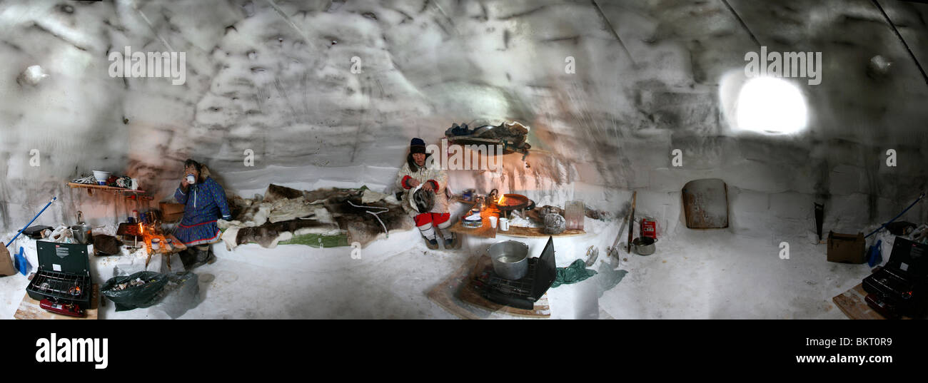 Algido America pelo di animali pelle animale animali animalfur skinj Antartide Antartide antartide artico area artica blizard breezy buil Foto Stock