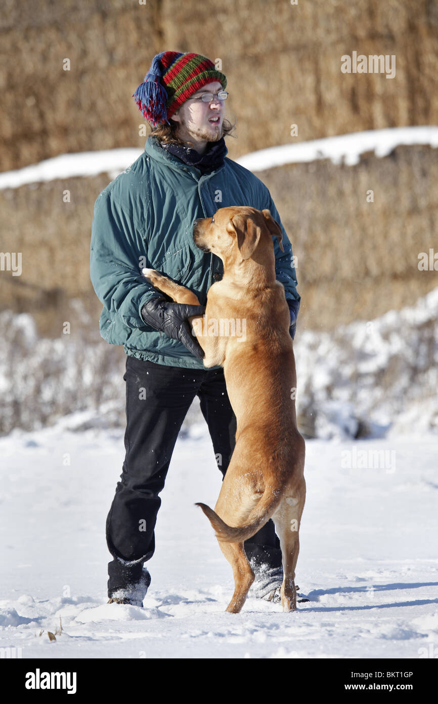 Tosa inu springt Menschen un / Tosa inu Foto Stock