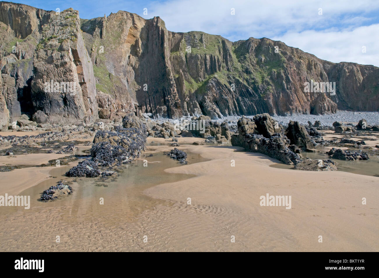 Particolarmente attraente tratto del North Cornwall costa al Sandy Mouth Beach, appena a nord di Bude Foto Stock