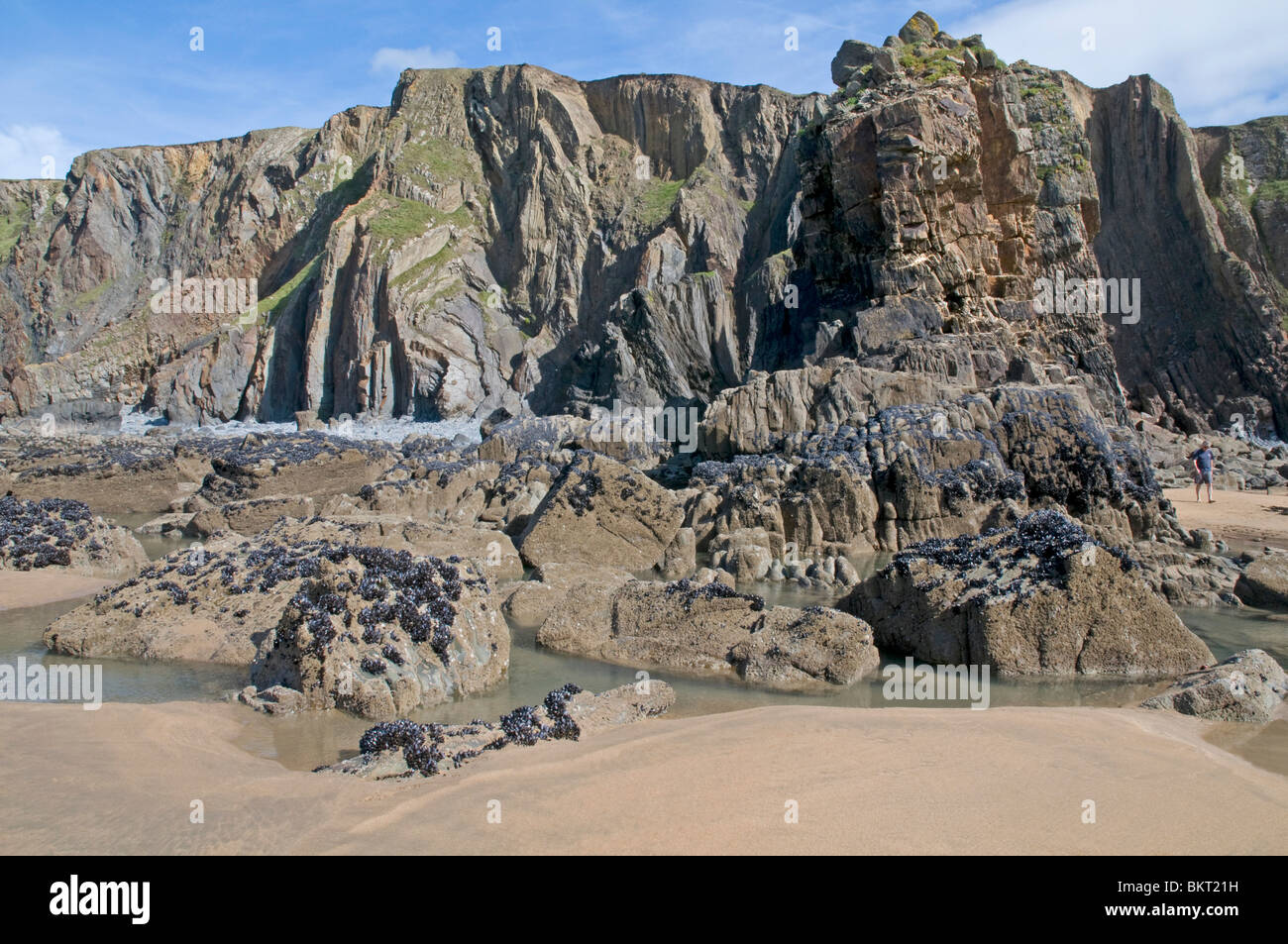 Particolarmente attraente tratto del North Cornwall costa al Sandy Mouth Beach, appena a nord di Bude Foto Stock