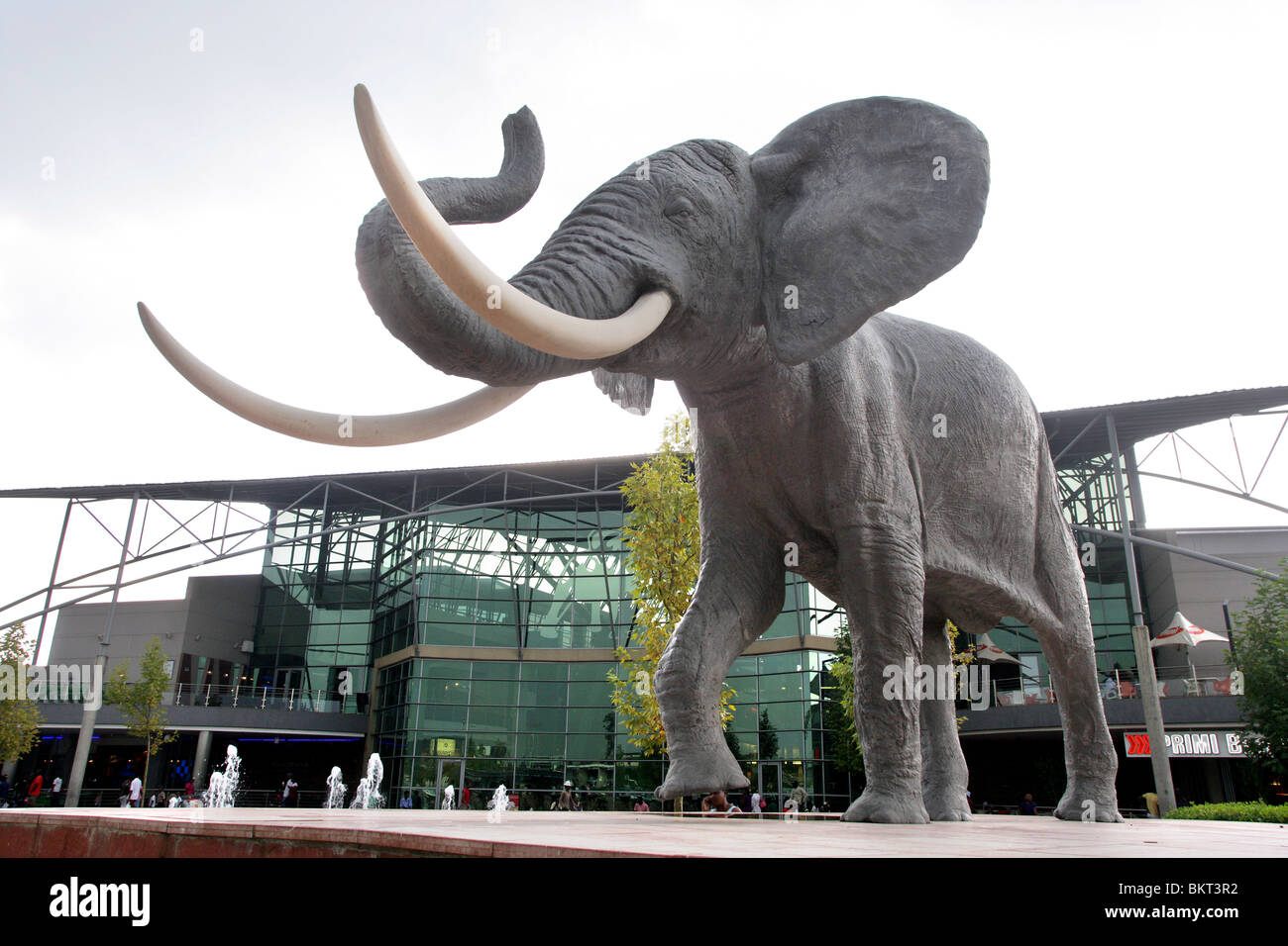 Elephant di fronte al centro commerciale Maponya Mall, Township Soweto, Johannesburg, Sud Africa Foto Stock