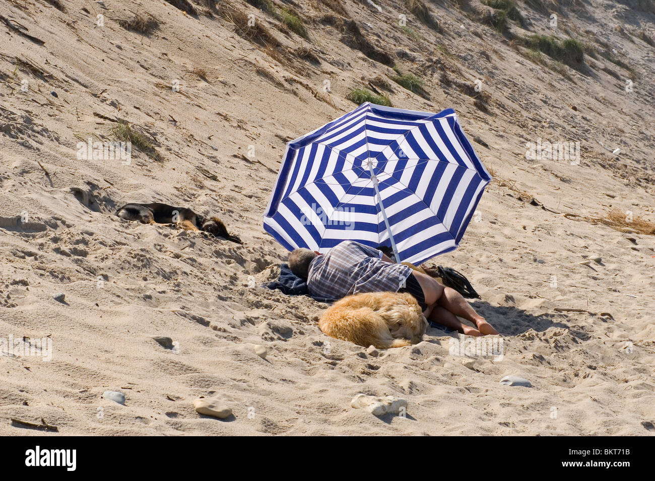 Uomo e cane rilassante sulla spiaggia sotto un ombrello Foto Stock