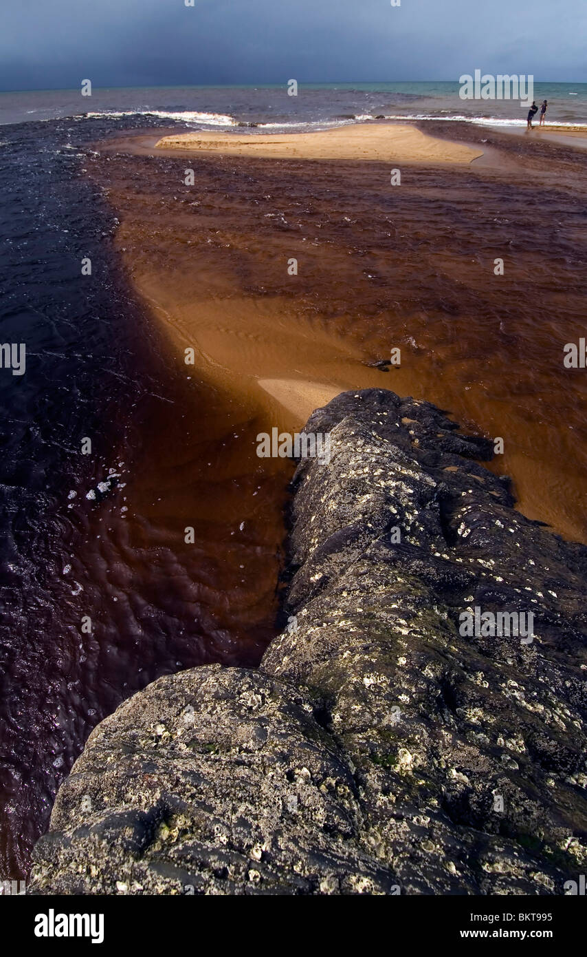 Oscuramente tannino macchiate di fiume che scorre sopra le sabbie della spiaggia Bramston, North Queensland, Australia Foto Stock