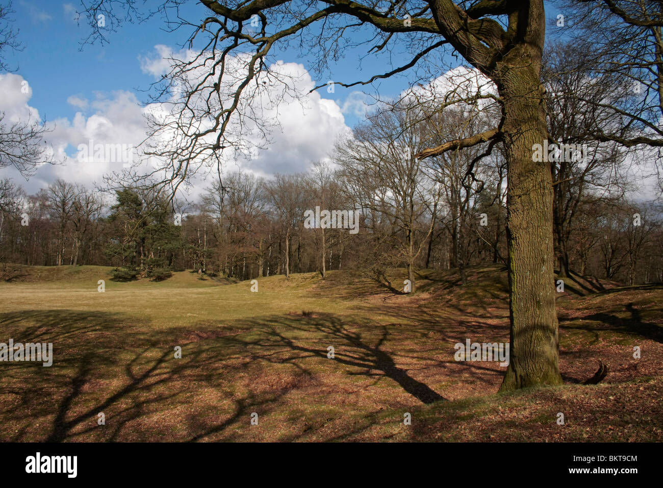 Nei primi secoli del Medioevo minerale è stato trovato in corrispondenza del Veluwe. Il Hunneschans protetto le strade commercianti utilizzato. Foto Stock