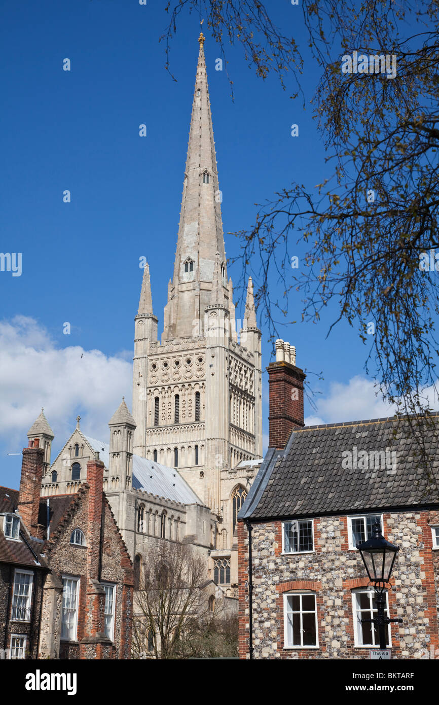 Norwich Cathedral Foto Stock