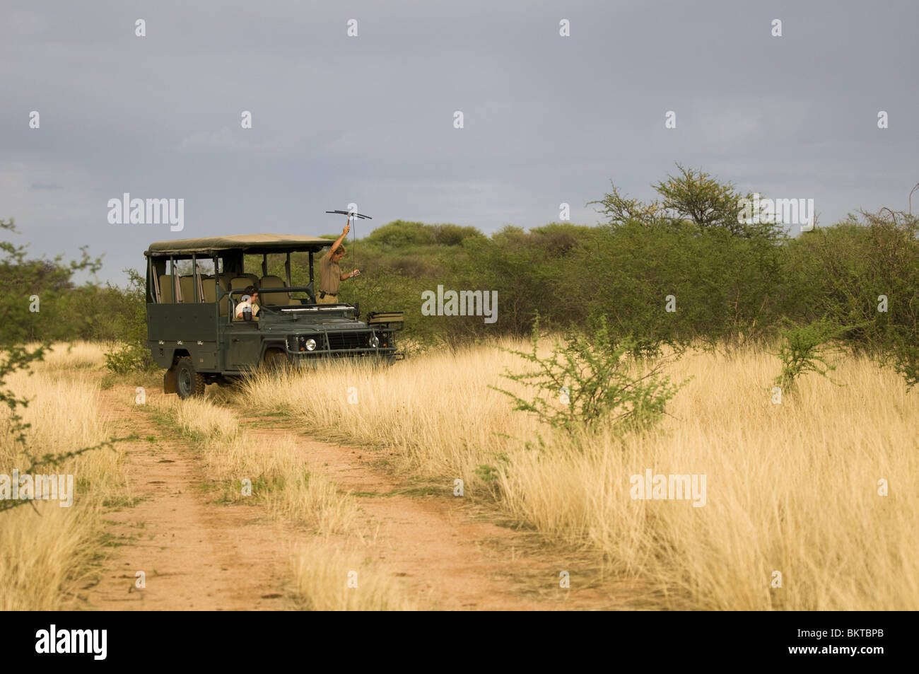 Gli elefanti di tracking e rhino mediante telemetria , Erindi, Namibia. Foto Stock