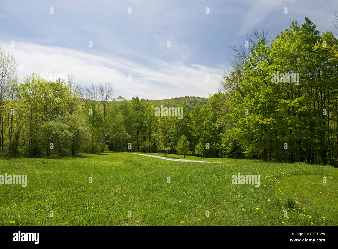 Estate verde prato nelle zone rurali del Vermont Foto Stock