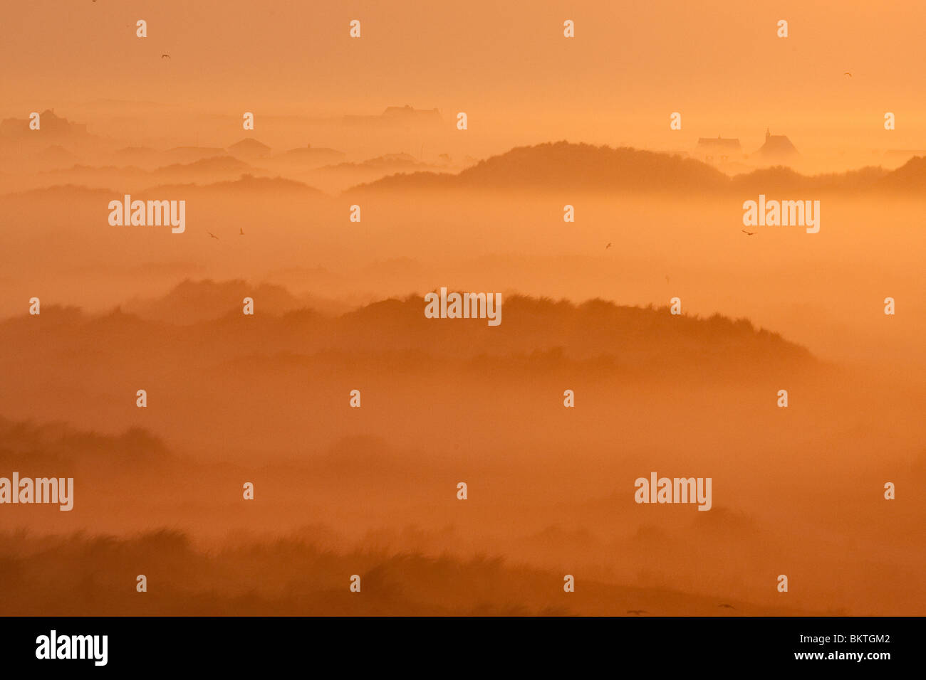 In Zonsopkomst vroeg voorjaar vanaf hoog duin over oude duinen en duinvalleien incontrato nevel en nebbia. Foto Stock