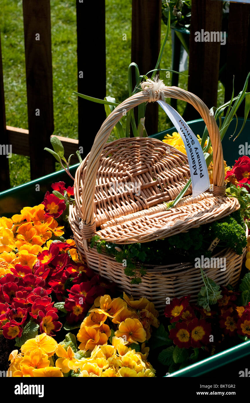 Concorrente in RHS mostrano Cardiff scuola della carriola giardini concorso Foto Stock