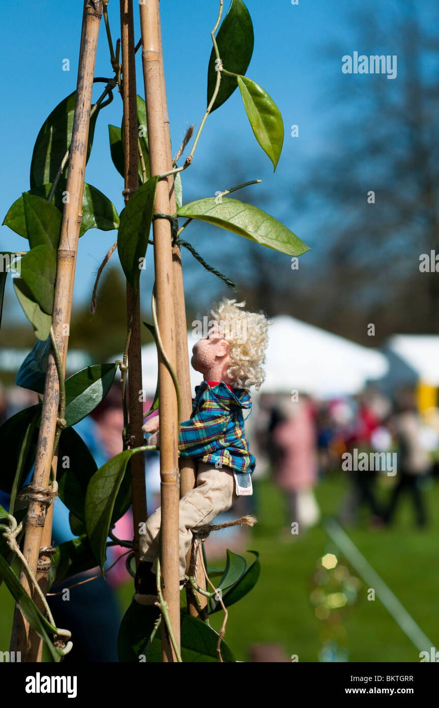 Concorrente in RHS mostrano Cardiff scuola della carriola giardini concorso Foto Stock