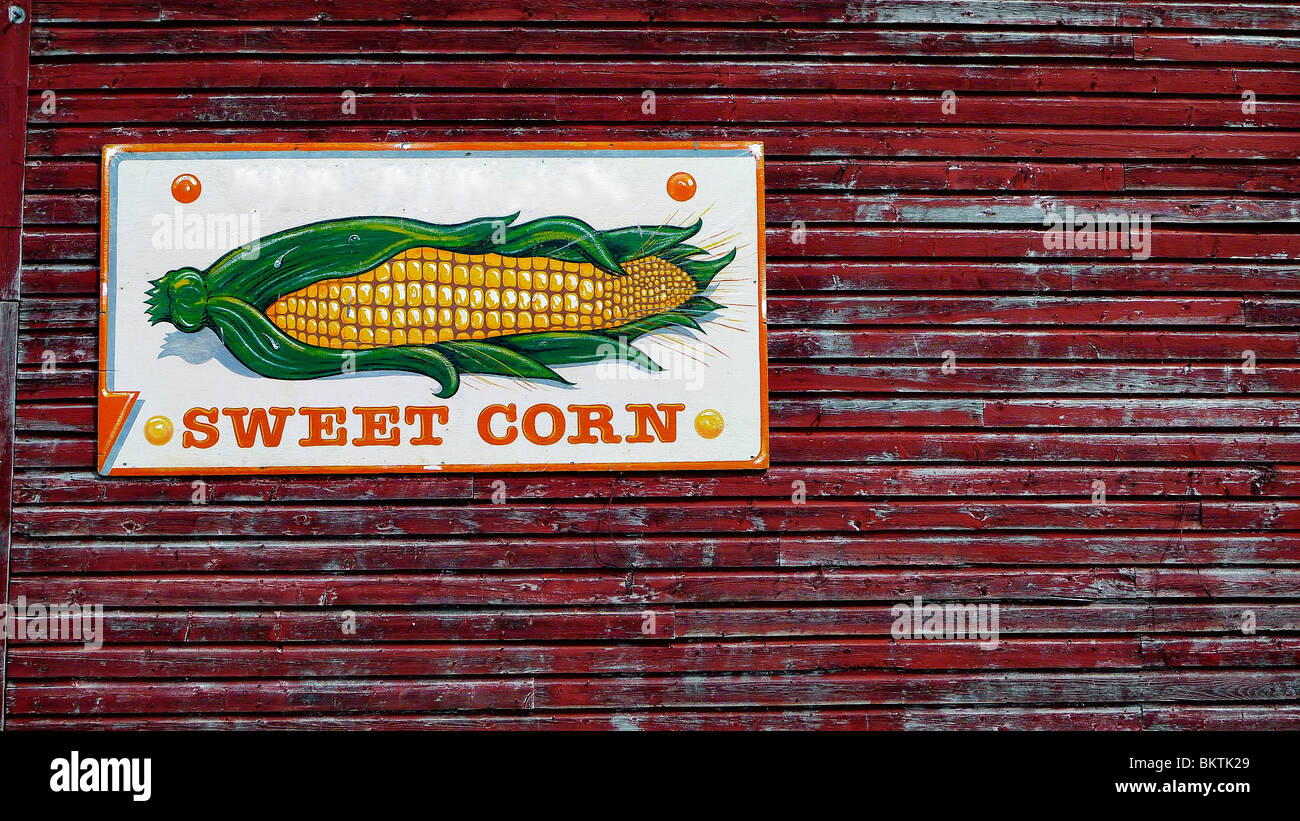 Rurale di mais dolce segno sul lato di un coltivatore granaio rosso. Foto Stock