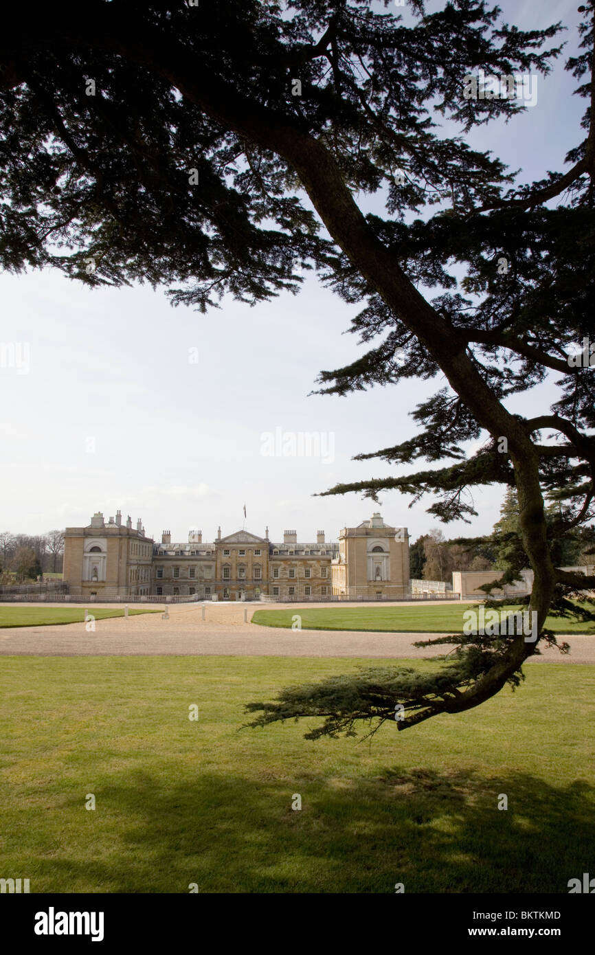 Woburn Abbey con il cedro in primo piano Foto Stock