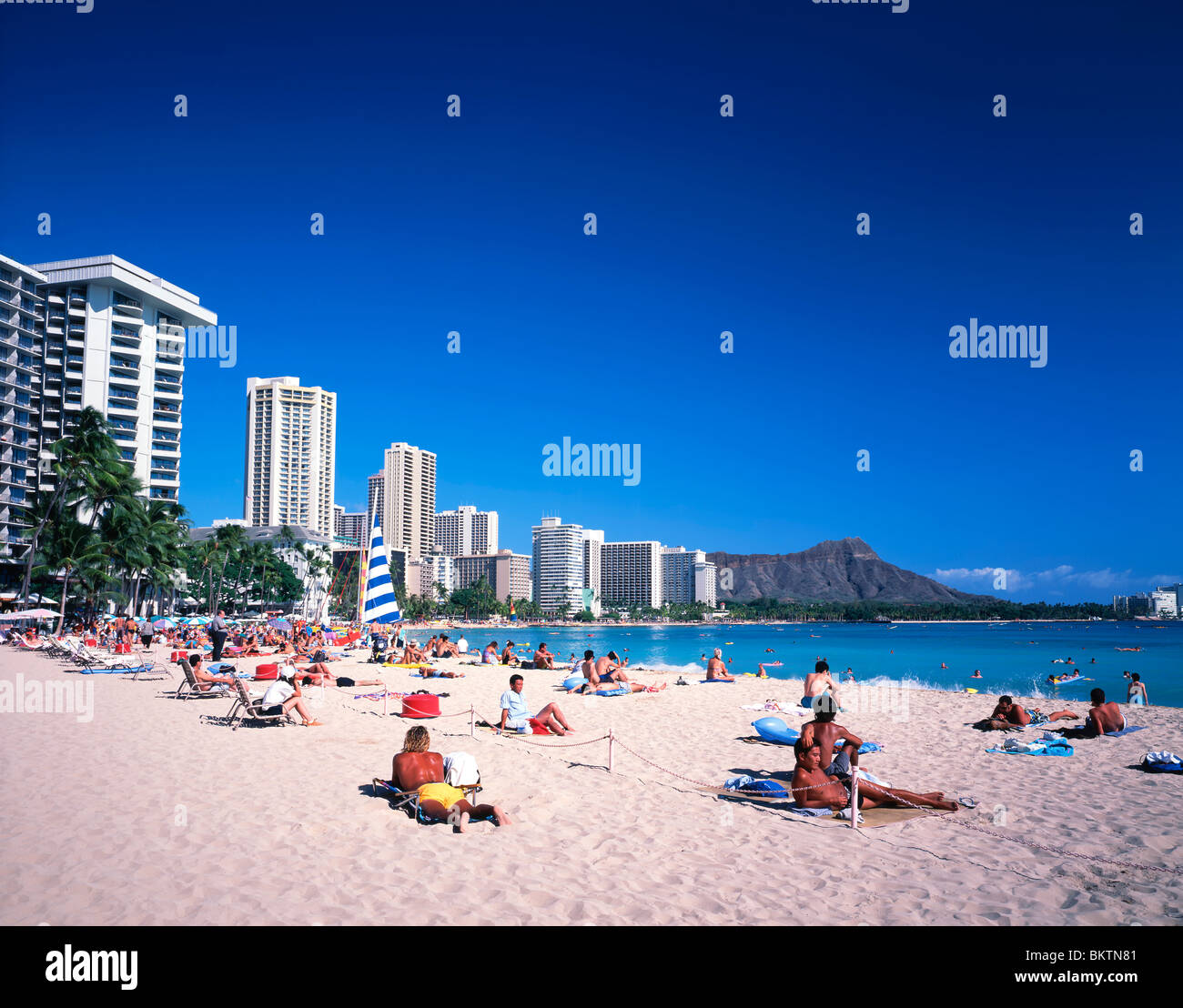 Tropical Hawaii Waikiki beach Palm tree Foto Stock