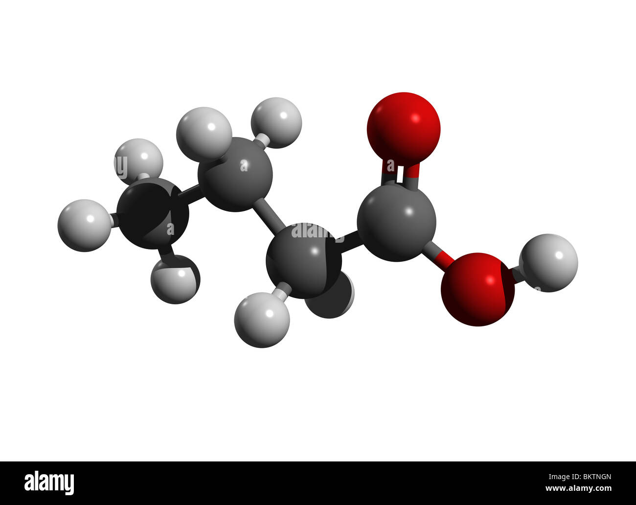 Acido butirrico, acido butanoico (colorcode: nero = carbonio, bianco = idrogeno, rosso=ossigeno) Foto Stock