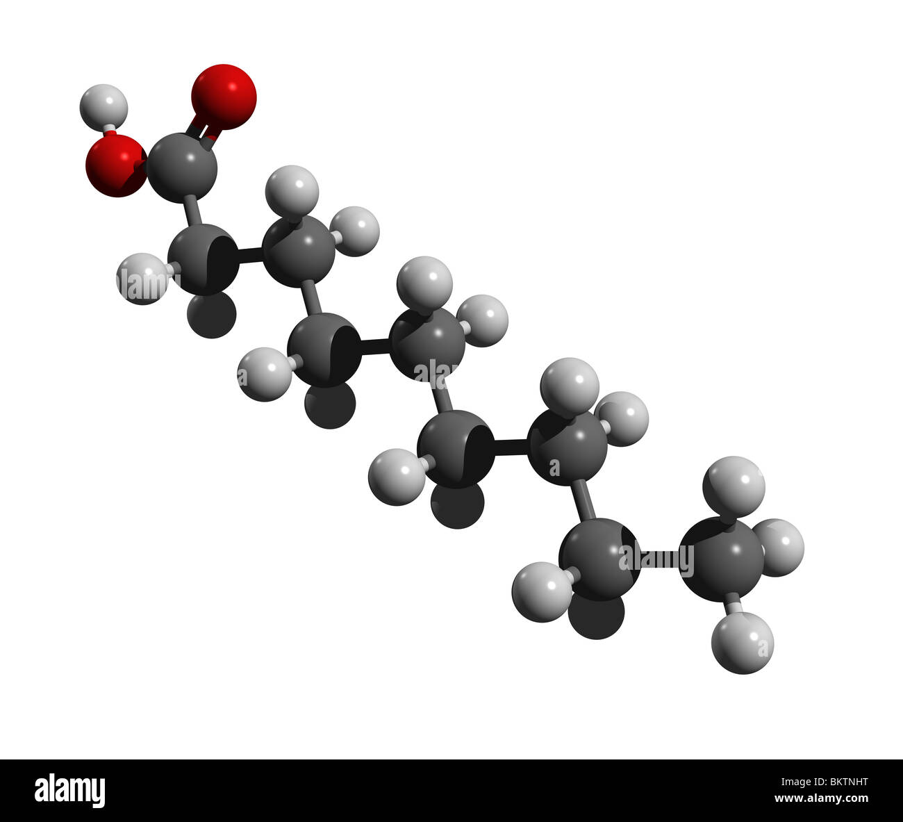 L'acido pelargonico, nonanic acido (colorcode: nero = carbonio, bianco = idrogeno, rosso=ossigeno) Foto Stock
