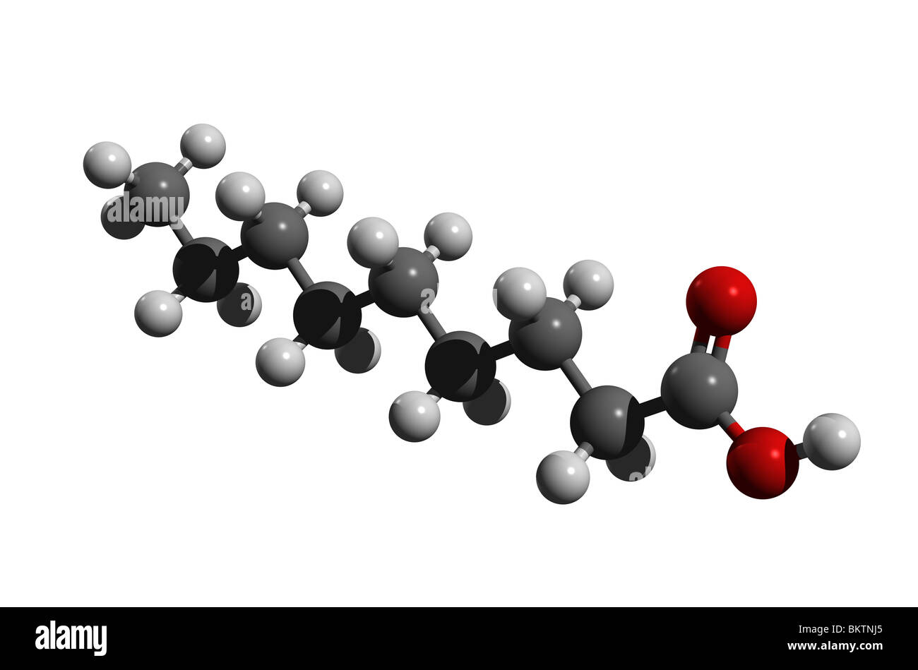 L'acido pelargonico, nonanic acido (colorcode: nero = carbonio, bianco = idrogeno, rosso=ossigeno) Foto Stock