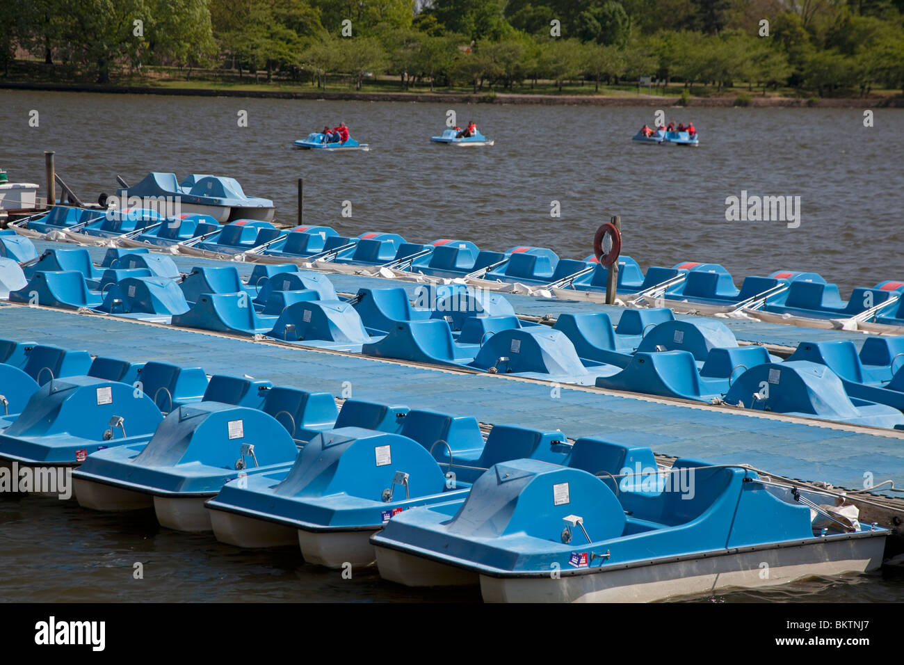 Washington, DC - barche a pedali nel bacino di marea vicino al Jefferson Memorial. Foto Stock
