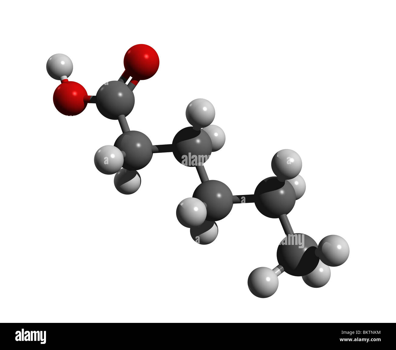 Acido caproico, acido esanoico (colorcode: nero = carbonio, bianco = idrogeno, rosso=ossigeno) Foto Stock