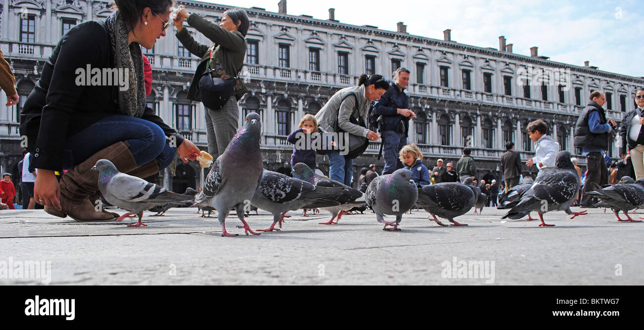 Turisti e Piccioni in Piazza San Marco, Venezia, Italia Foto Stock