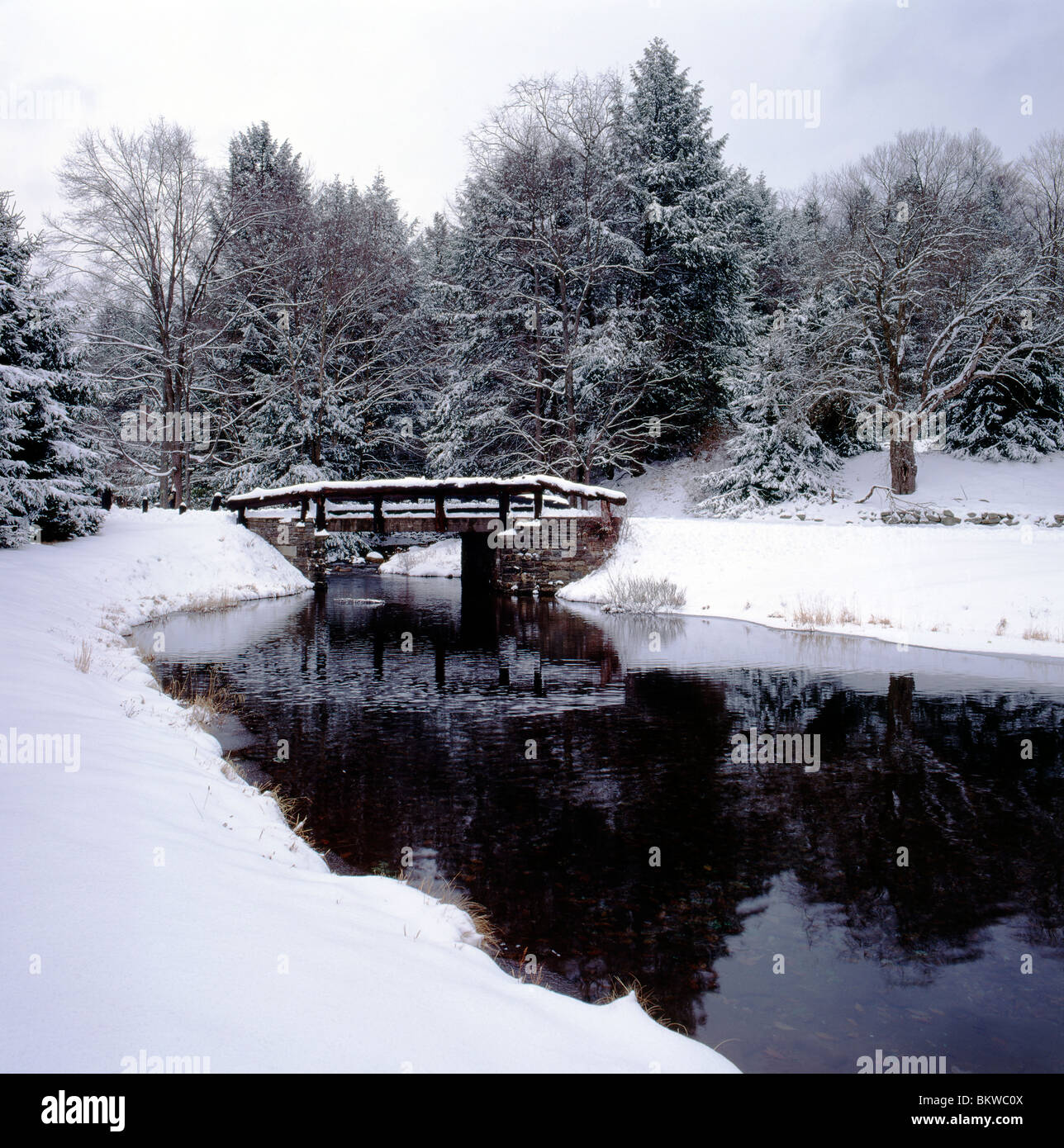 Inverno a vista della passerella sul Hickory Run, Hickory Run State Park, Pennsylvania, STATI UNITI D'AMERICA Foto Stock