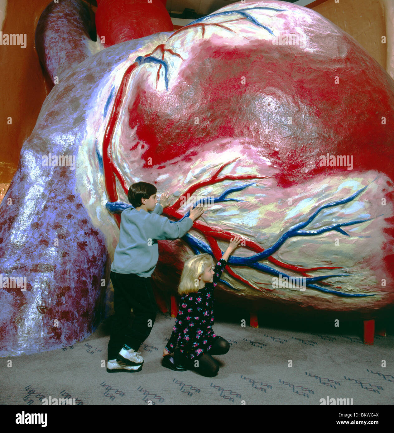 Ai bambini di esplorare il modello di grandi dimensioni di un cuore umano al Franklin Institute Science Museum, Philadelphia, Pennsylvania, STATI UNITI D'AMERICA Foto Stock