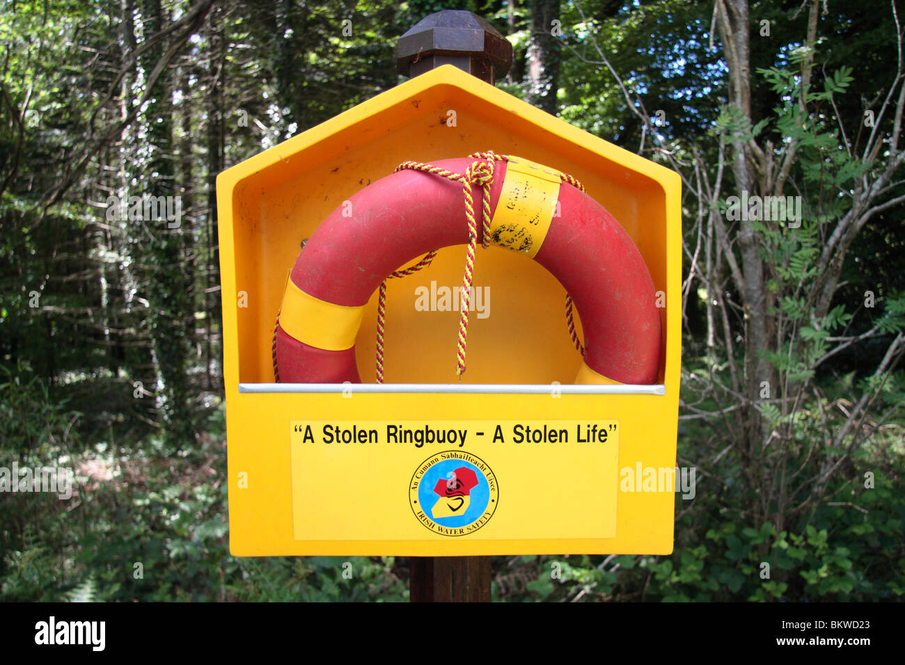 Un lifebelt (ringbuoy) accanto ad un piccolo lago nel John F. Kennedy Arboretum, Co Wexford, Irlanda. Foto Stock
