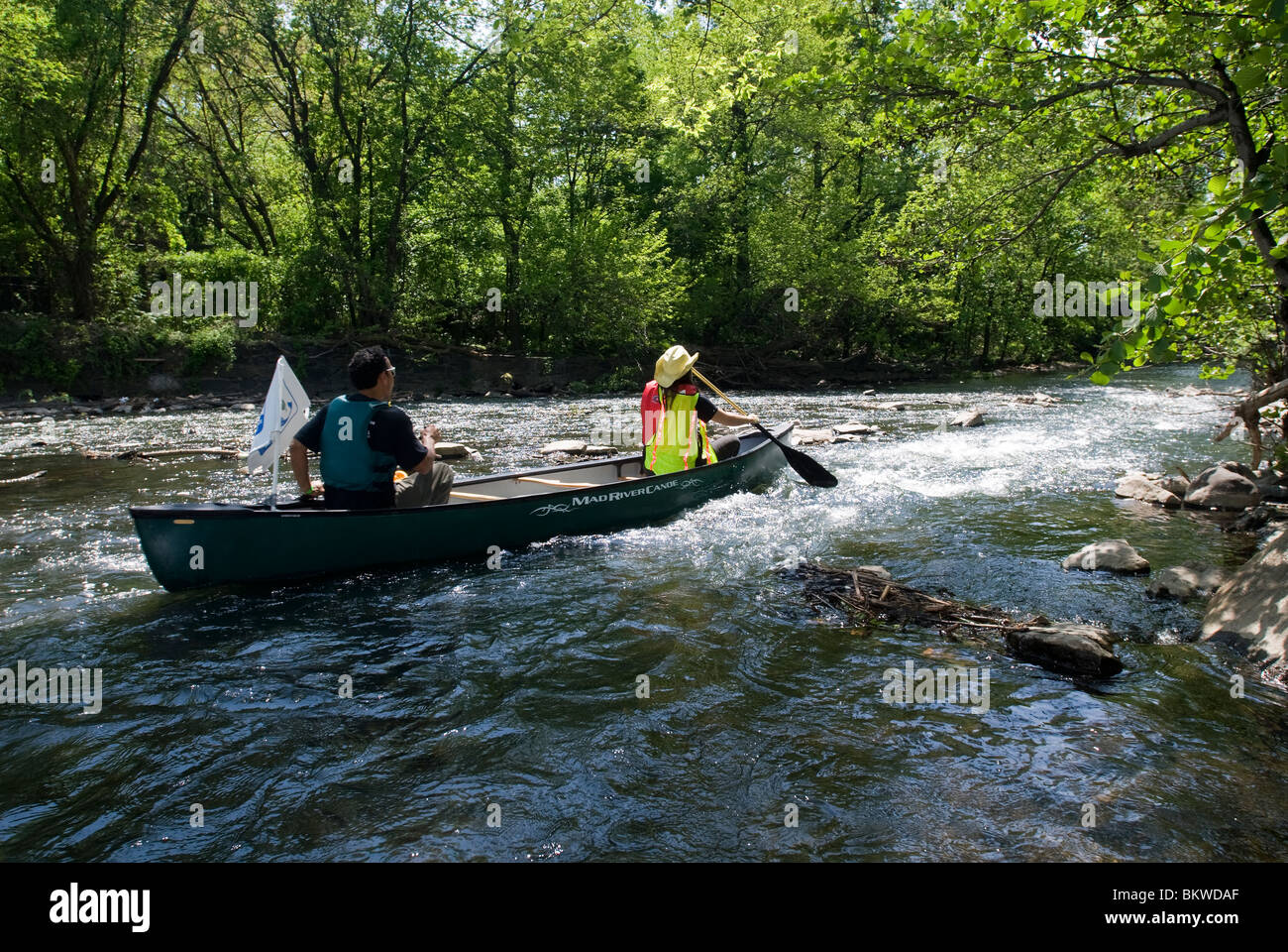 Canoe e kayak a portage sul fiume Bronx in New York borough del Bronx Foto Stock