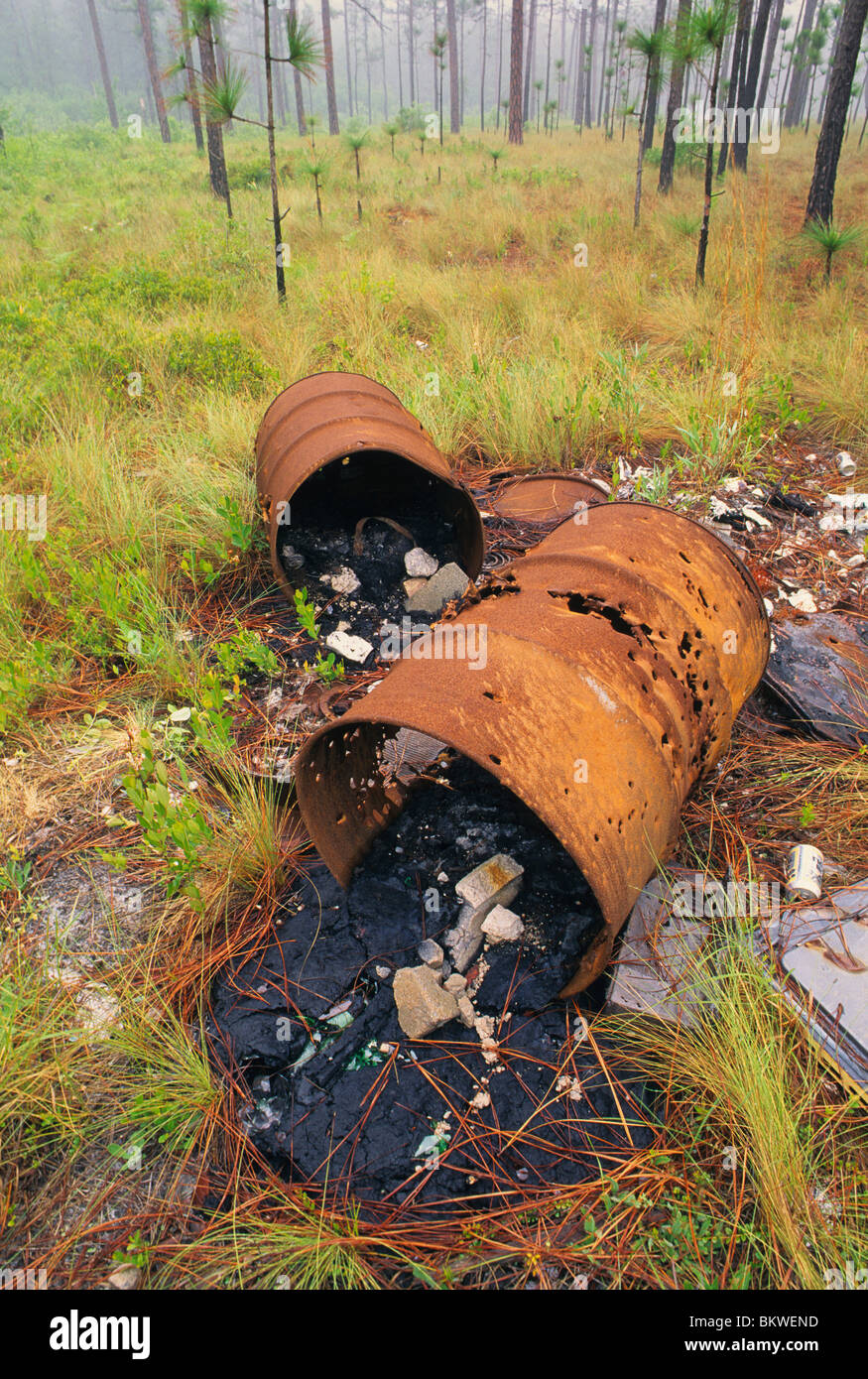 Lo scarico illegale di rifiuti di barili in una foresta di pini sud-est degli Stati Uniti Foto Stock