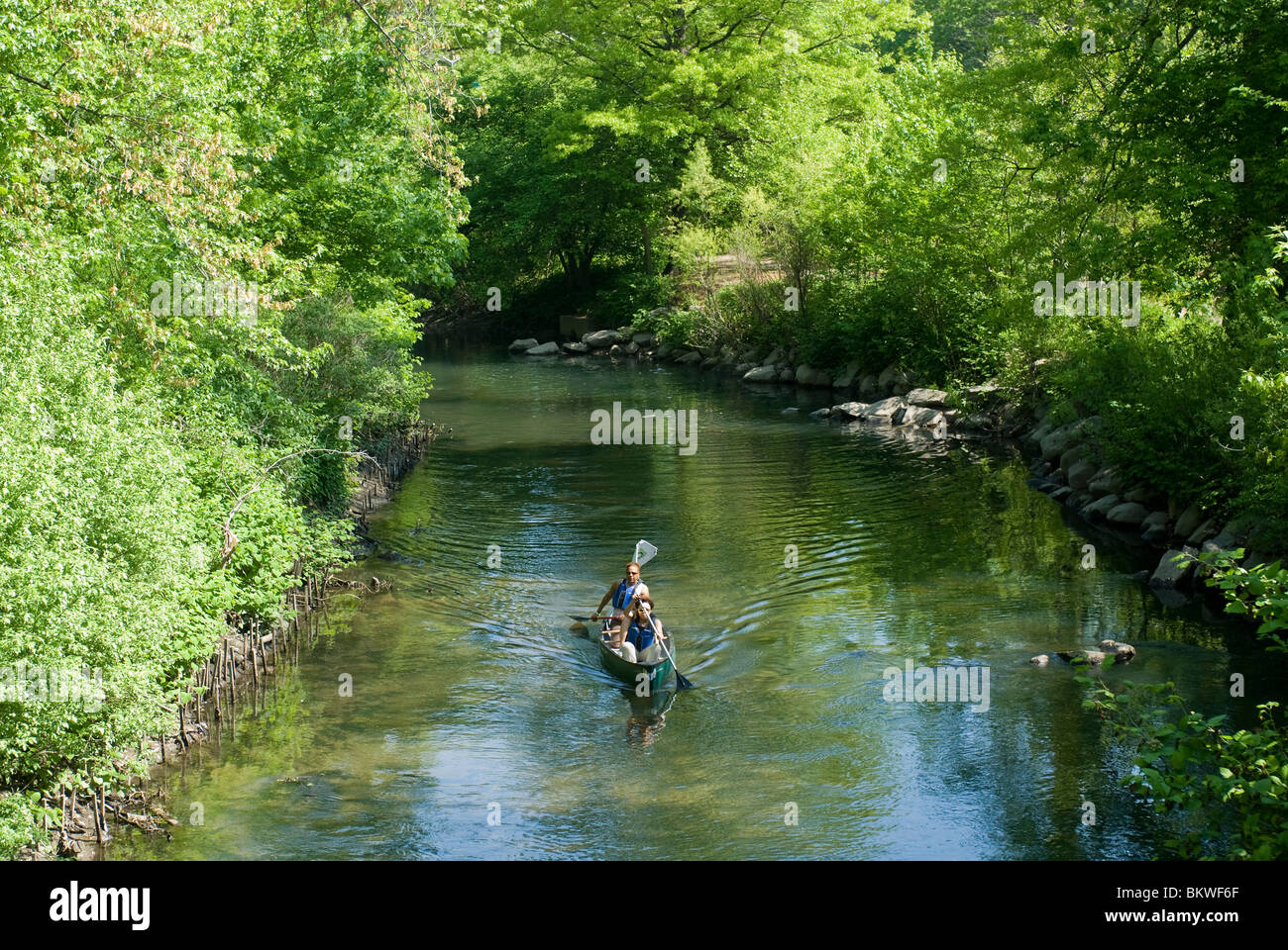Canoe e kayak sul fiume Bronx in New York borough del Bronx nel Bronx River Forest Foto Stock