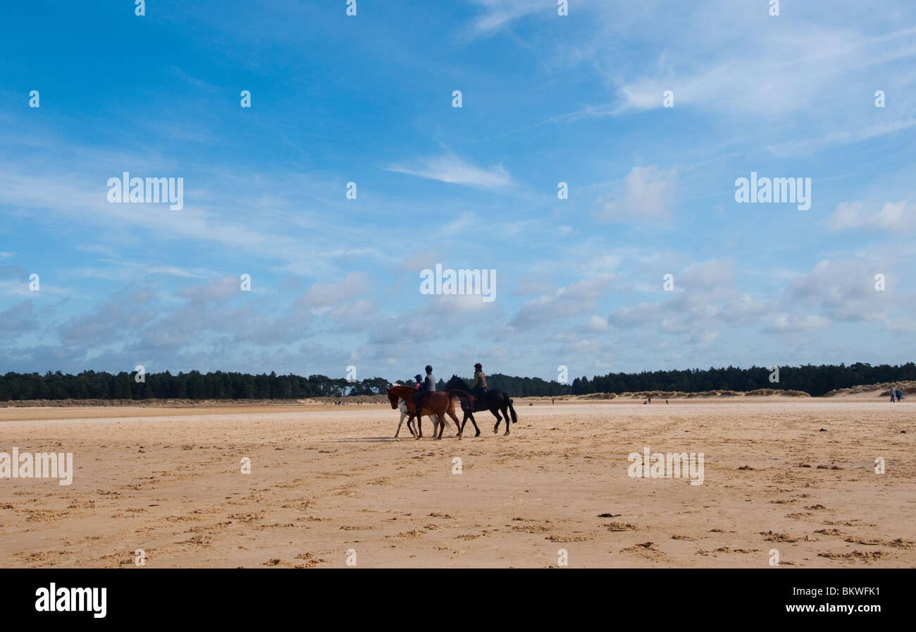 I piloti a cavallo sulla spiaggia Holkham in Norfolk. Foto Stock