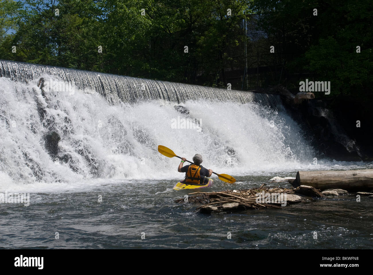 Canoe e kayak a portage sul fiume Bronx in New York borough del Bronx Foto Stock