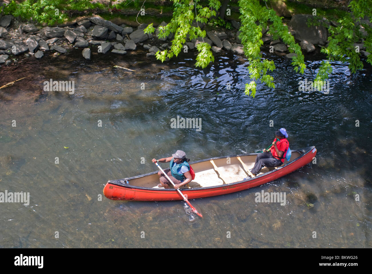 Canoe e kayak sul fiume Bronx in New York borough del Bronx Foto Stock