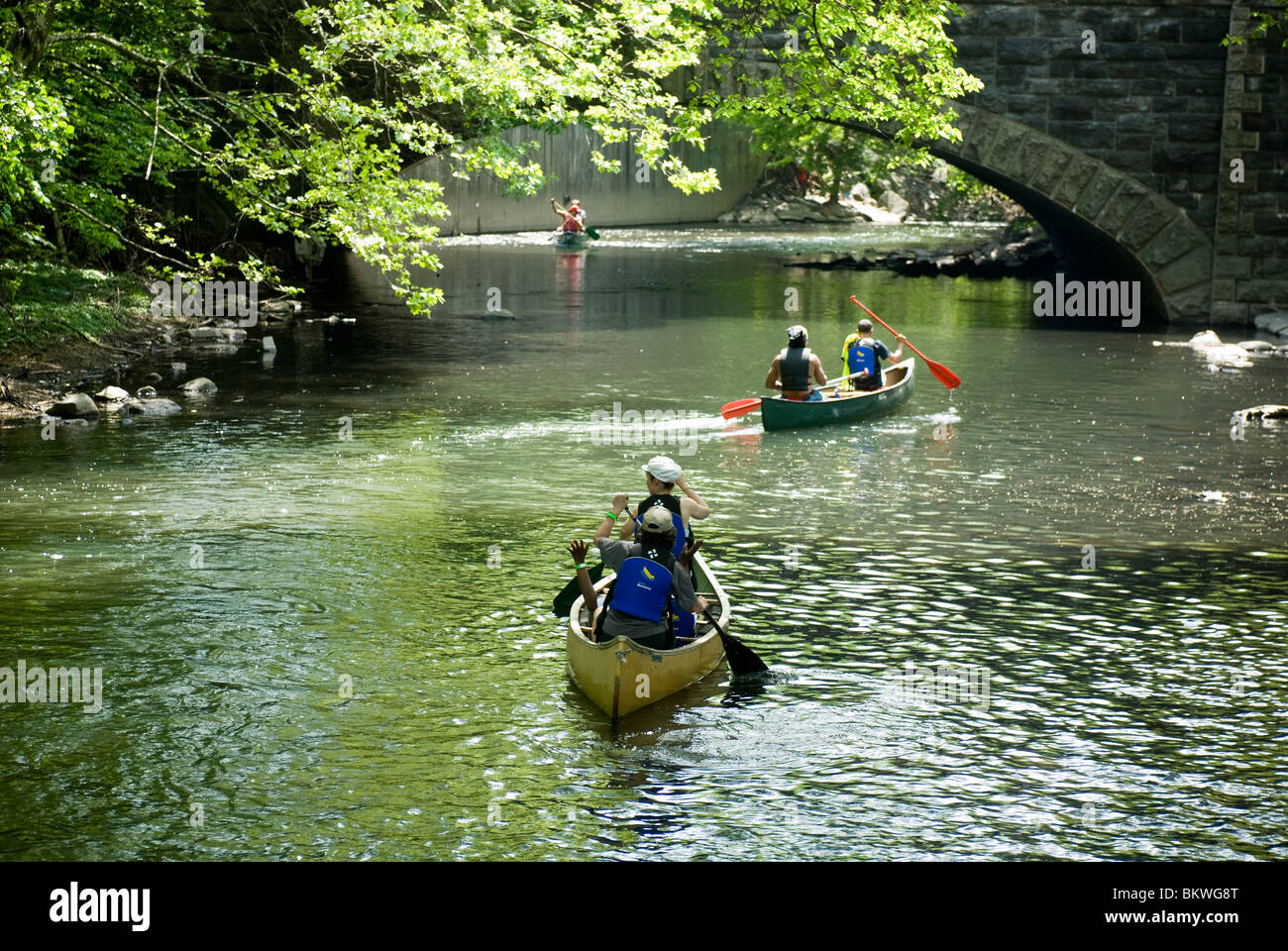 Canoe e kayak canoa sul fiume Bronx in New York borough del Bronx Foto Stock