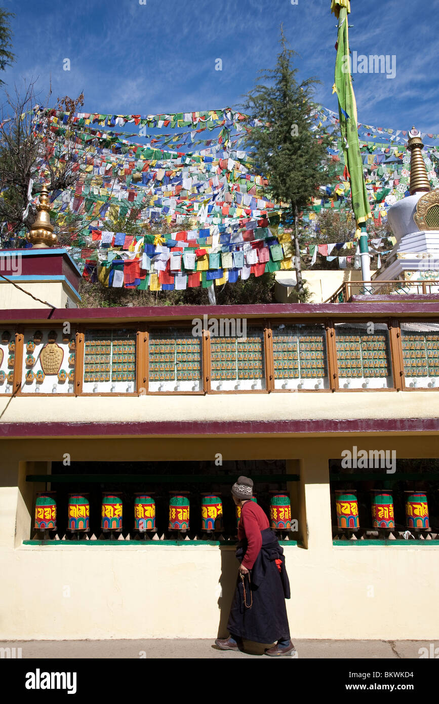 Rifugiati tibetani il pattinamento delle ruote della preghiera. McLeod Ganj. Dharamsala. India Foto Stock