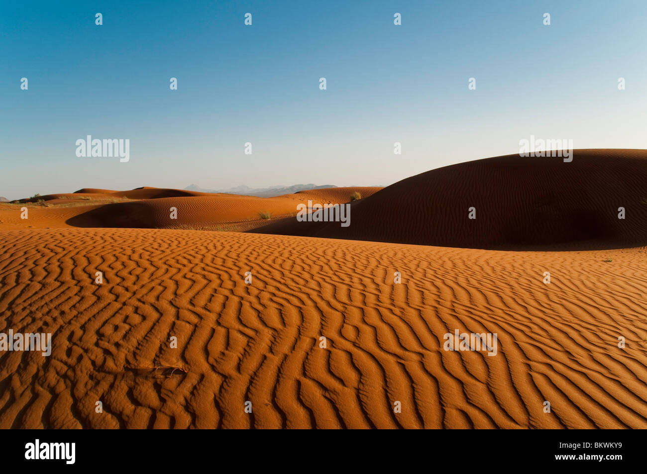 La sua è una duna di sabbia shot prima del tramonto. le striature dovute al vento è chiaramente visibile. Foto Stock