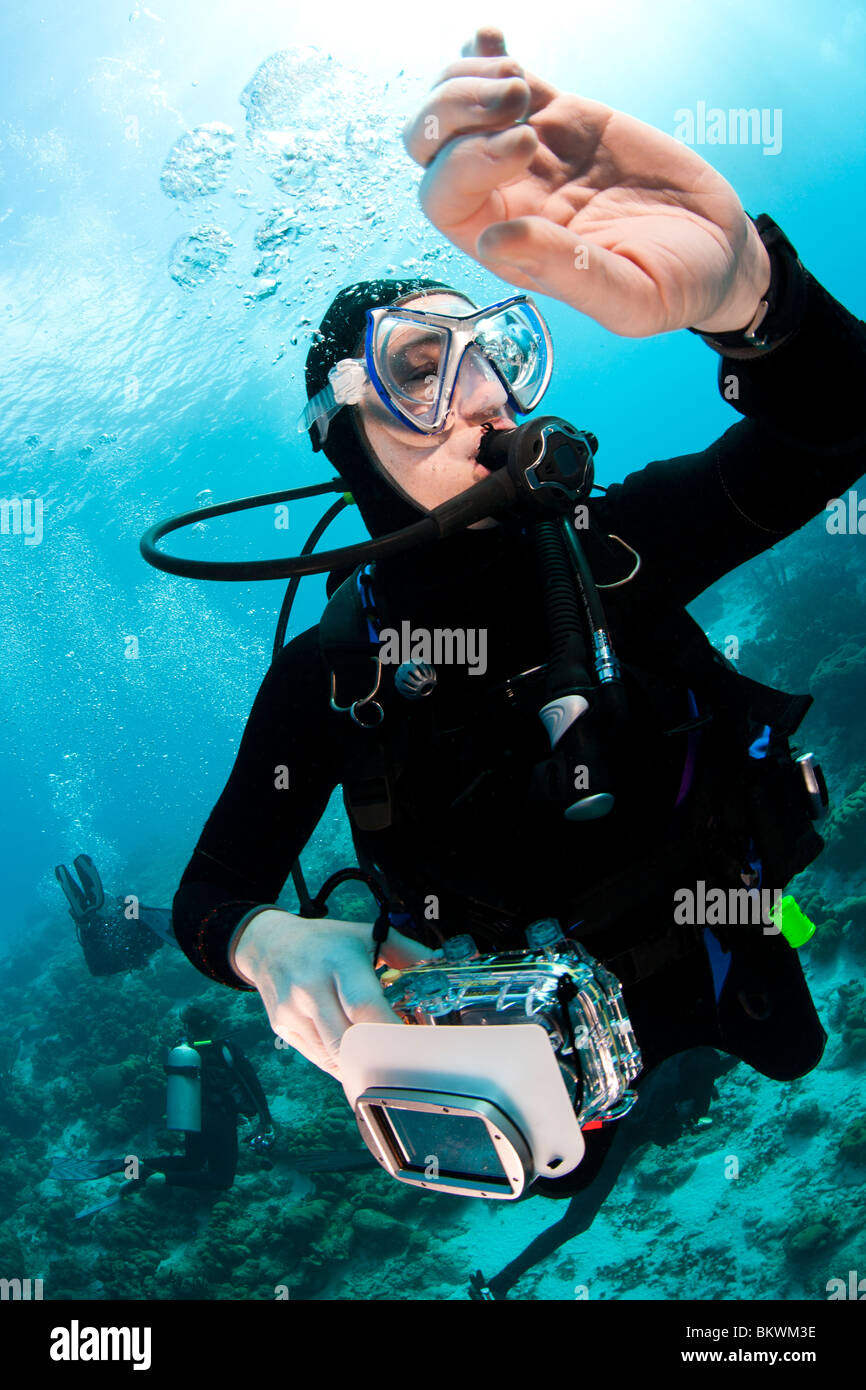 Subacqueo con la sua fotocamera controllando il suo orologio subacqueo durante il fermo di sicurezza Foto Stock