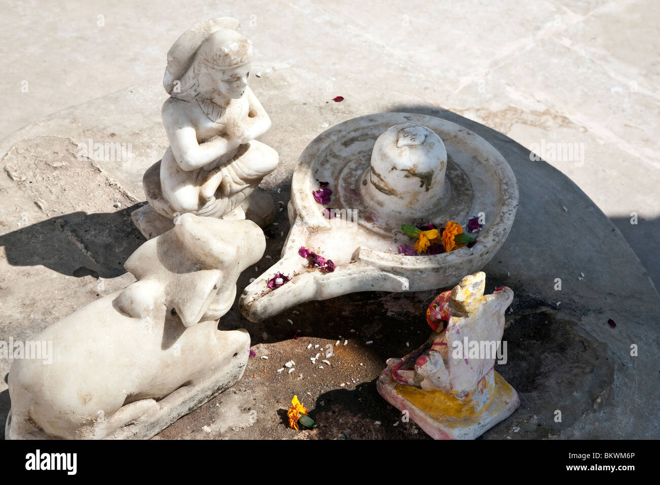 Shiva lingam. Pushkar. Il Rajasthan. India Foto Stock