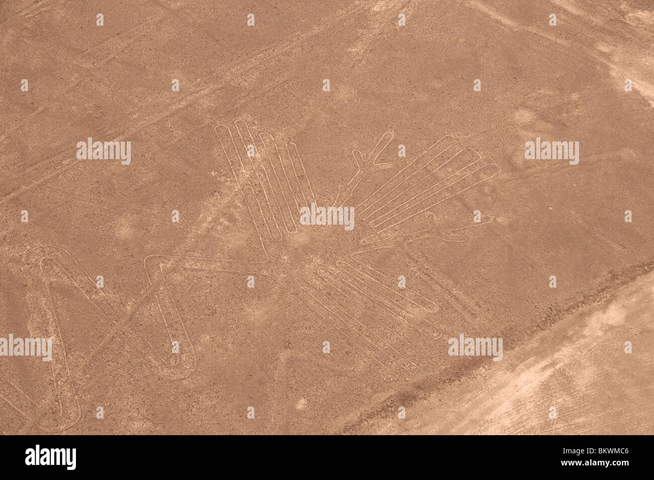 Foto aerea del pattern di uccelli delle linee di Nazca, Perù Foto Stock
