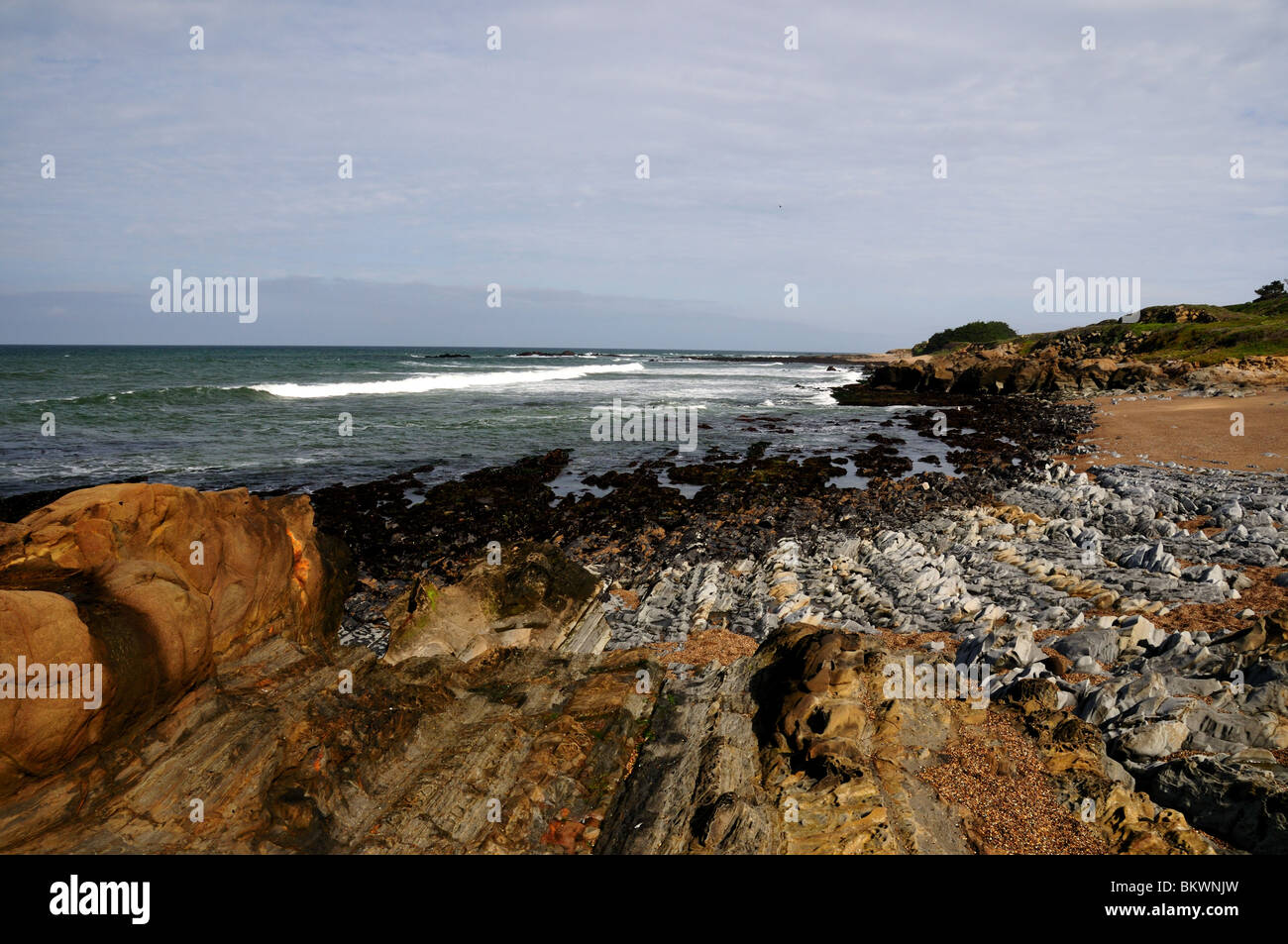 Formazione di roccia lungo la costa della California, Stati Uniti d'America. Foto Stock