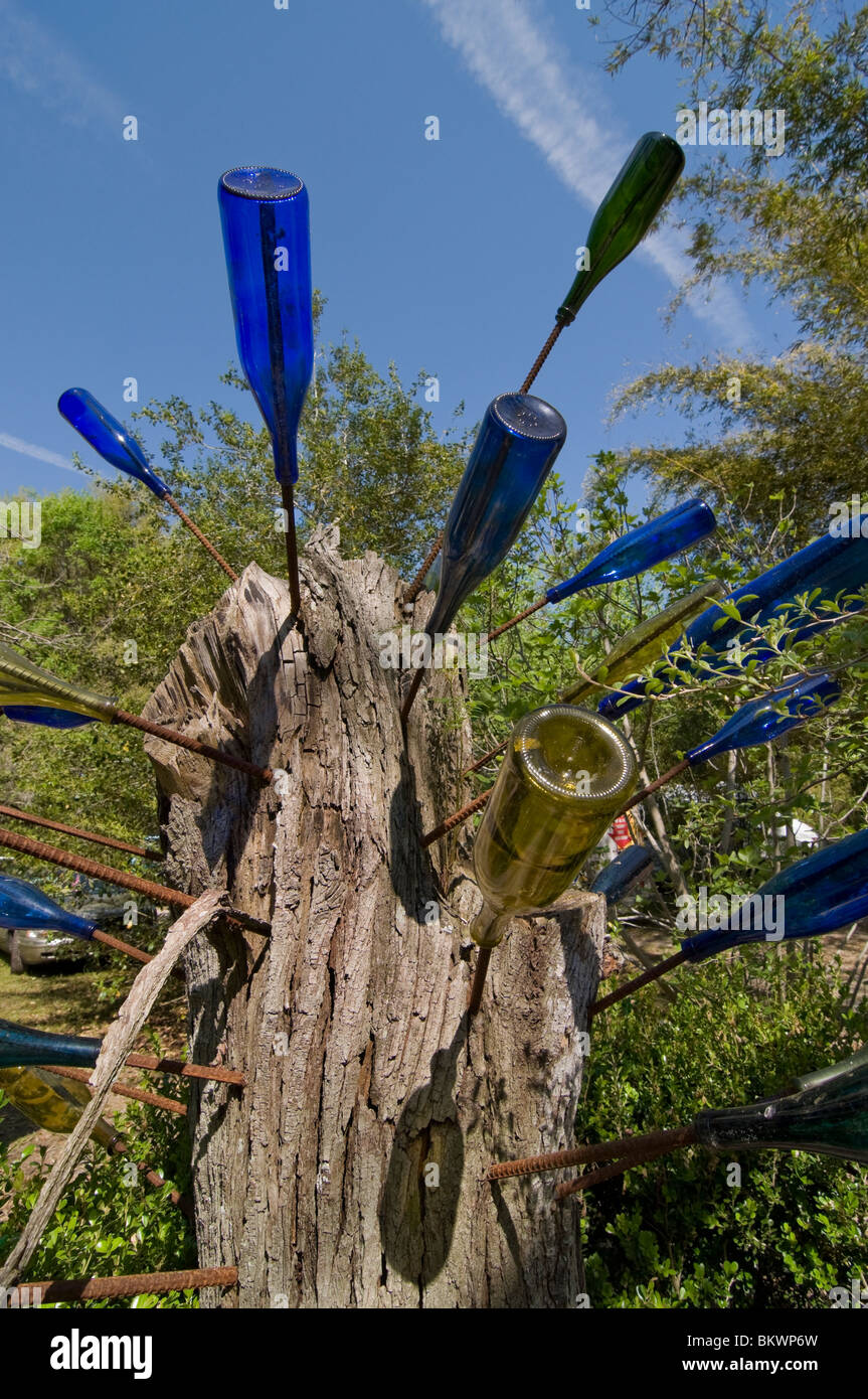 Kanapaha Spring Garden Festival Gainesville Florida bottiglia africana tree sul display Foto Stock