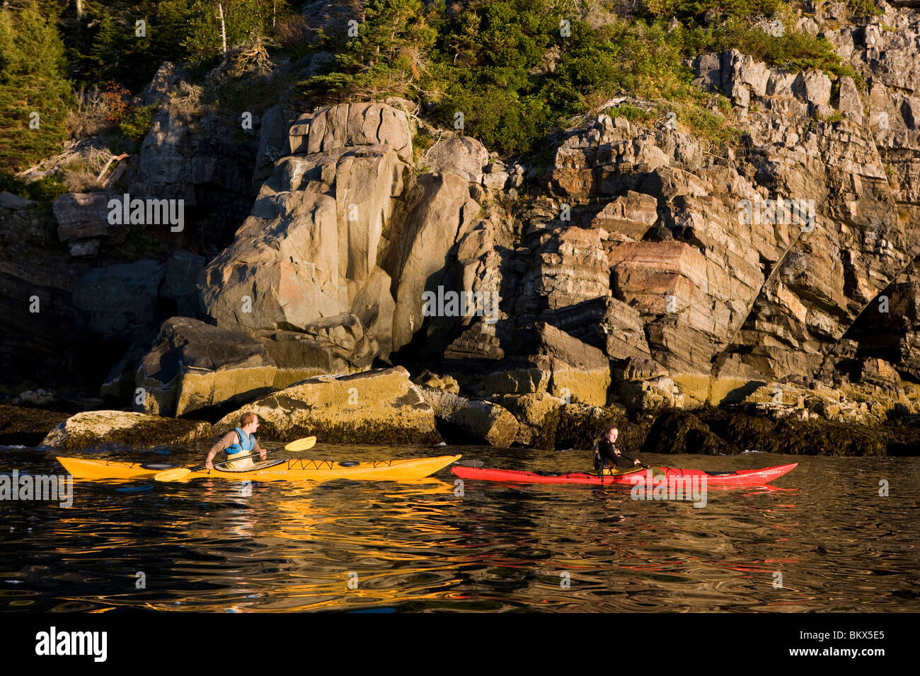 Un uomo e una donna kayak di mare vicino a bruciato Porcupine isola nel Maine il Parco Nazionale di Acadia. Bar Harbor. Foto Stock