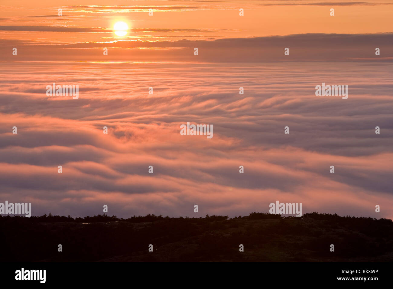 Il sole sorge al di sopra della nebbia come visto dalla cima del Cadillac Mountain nel Maine il Parco Nazionale di Acadia. Foto Stock