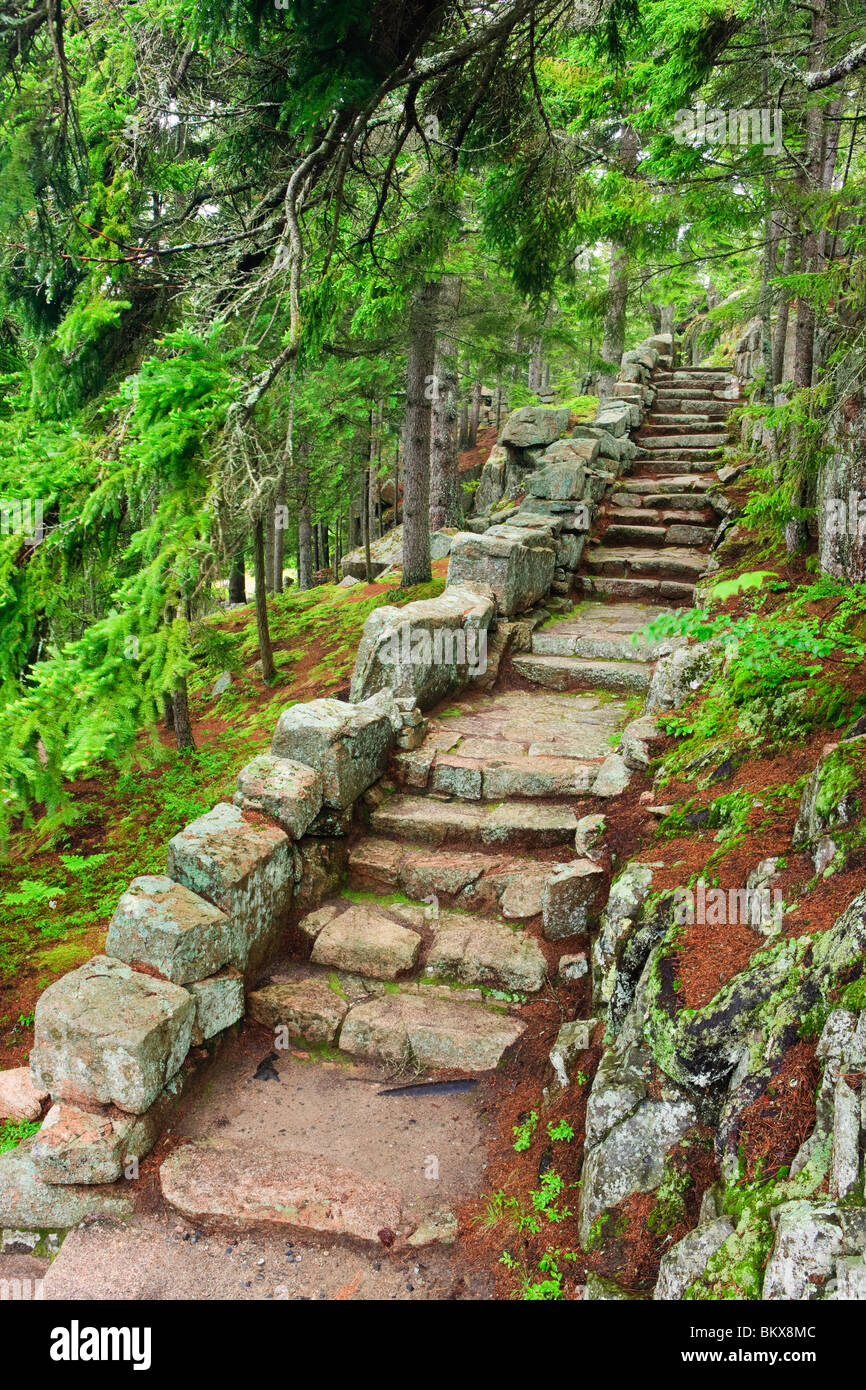 Una scala di pietra a Thuya Giardini nella zona nord-est di Porto, Maine. Foto Stock